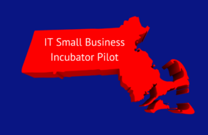 IT Small Business Incubator Pilot Program