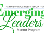 Business Mentor Program